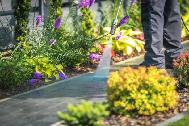Best Dumpster Area Cleaning  in Wooster, OH